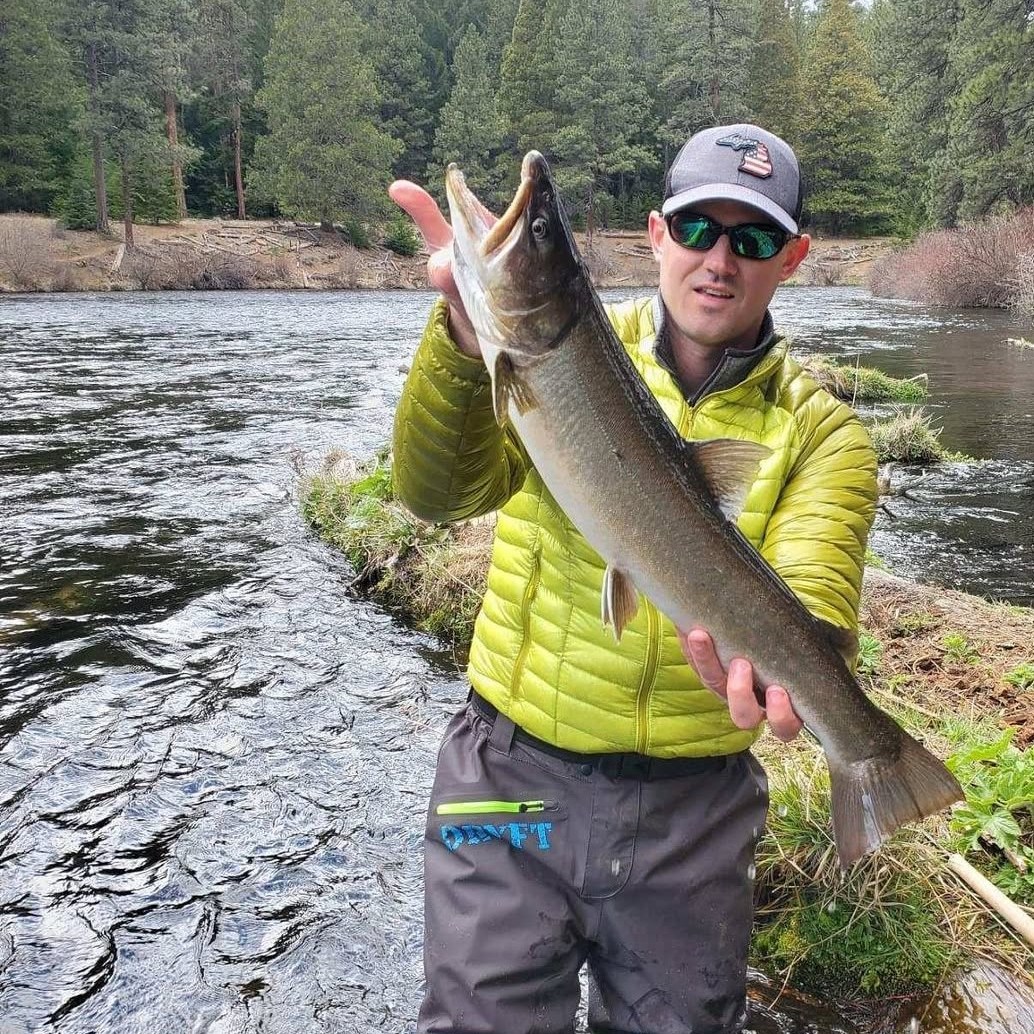 Turner fishing
